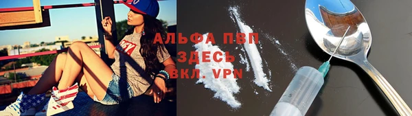 стаф Нефтегорск