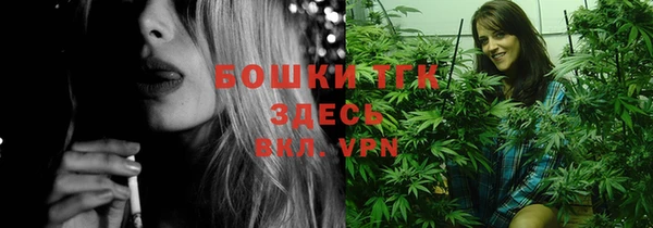 стаф Нефтегорск