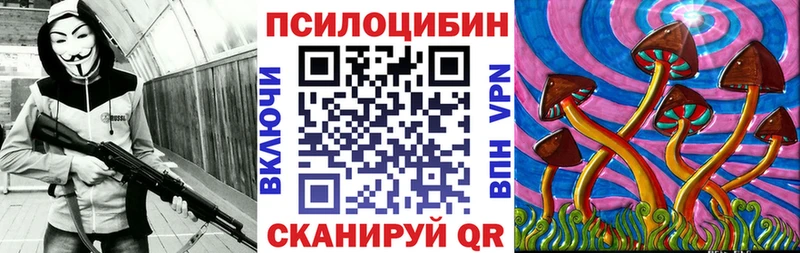 Купить где  Купино  Псилоцибиновые грибы MAGIC MUSHROOMS 