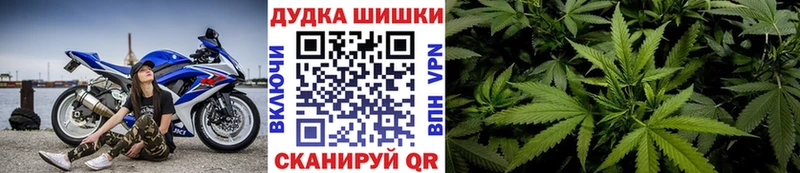 Конопля планчик  Купить где  Купино 